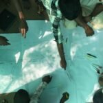 Civil Survey Training Institute