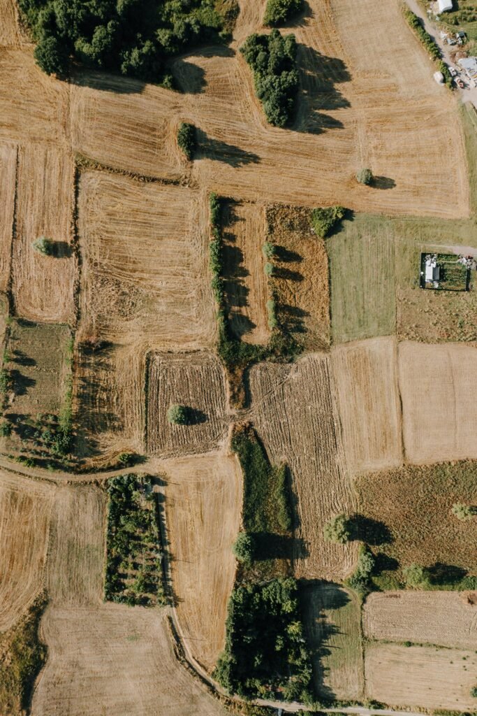 land-plotting