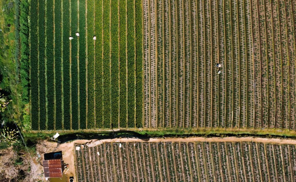 Land Survey Cost Per Acre